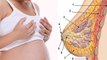 प्रेगनेंसी में स्तन से दूध कब निकलता है | Pregnancy Me Stan Me Doodh Kab Aata Hai | Boldsky
