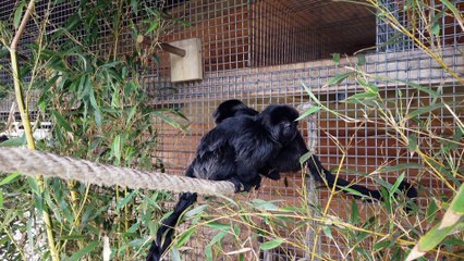 Actus : Le parc zoologique de Fort-Mardyck devient Bio-Topia - 05 Avril 2022