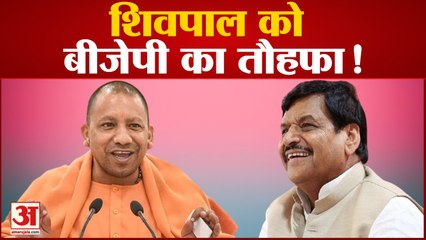 शिवपाल बन सकते हैं यूपी विधानसभा में उप सभापति ! अखिलेश की बढ़ेगी परेशानी? | Shivpal | Akhilesh