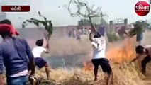 गौशपुर में गरीब किसानों का 10 बीघा फसल जलकर हुआ राख