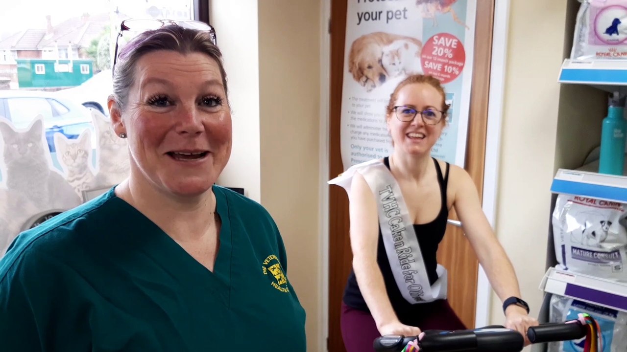Charity Vets