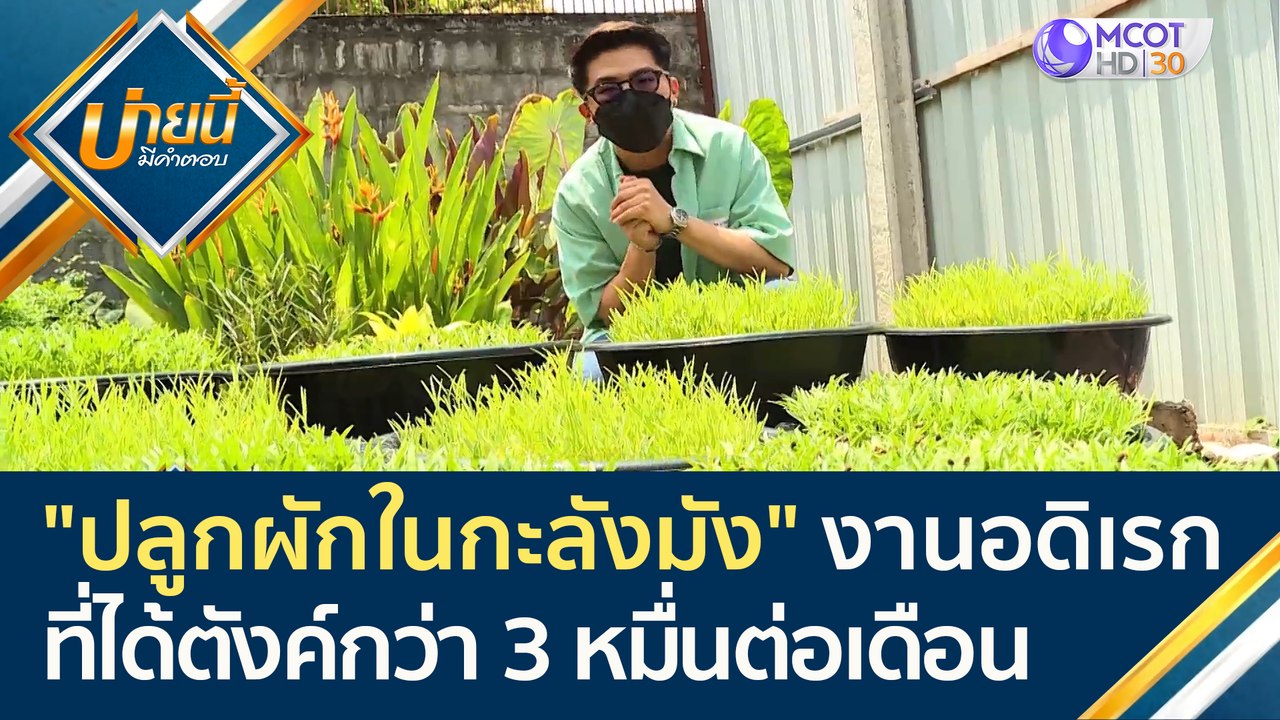 "ปลูกผักในกะลังมัง" งานอดิเรกที่ได้ตังค์กว่า 30...