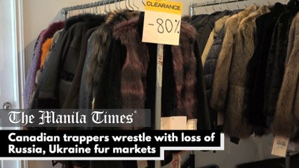 Canadian trappers wrestle with loss of Russia, Ukraine fur markets.mp4