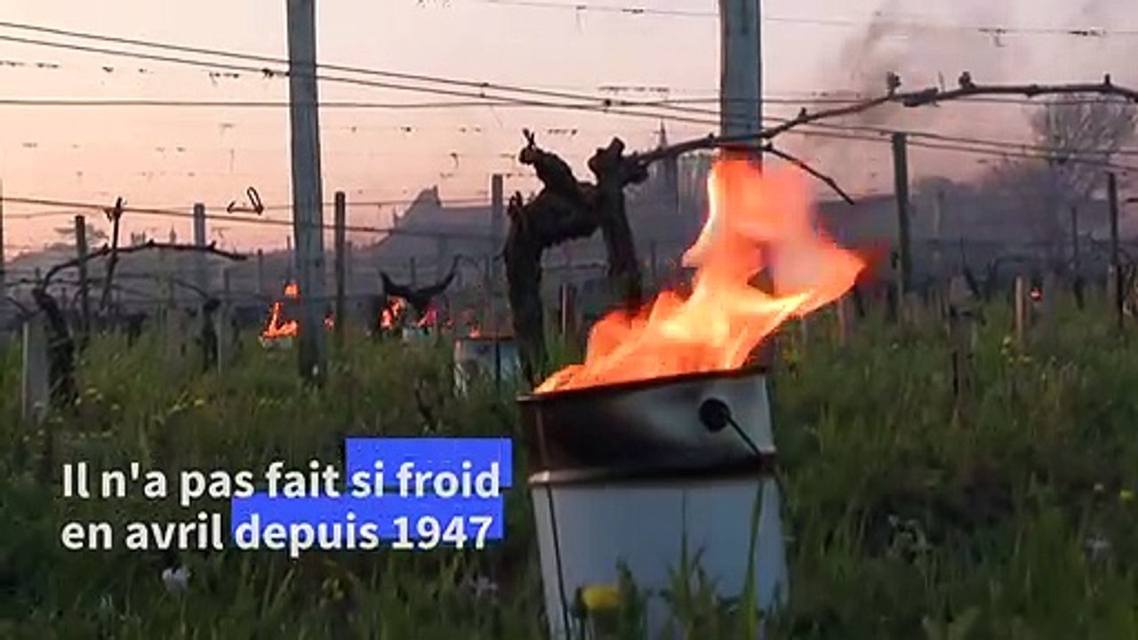Hélicoptères, éoliennes, brûlots, bougies: à Sa...