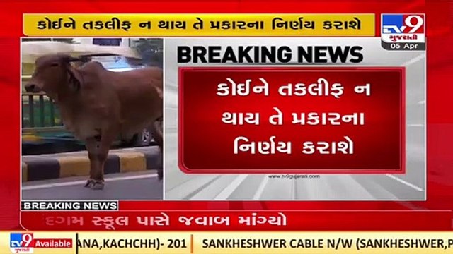 No one will be troubled_ Gujarat govt to Maldhari community over cattle control bill, Kutch _TV9News