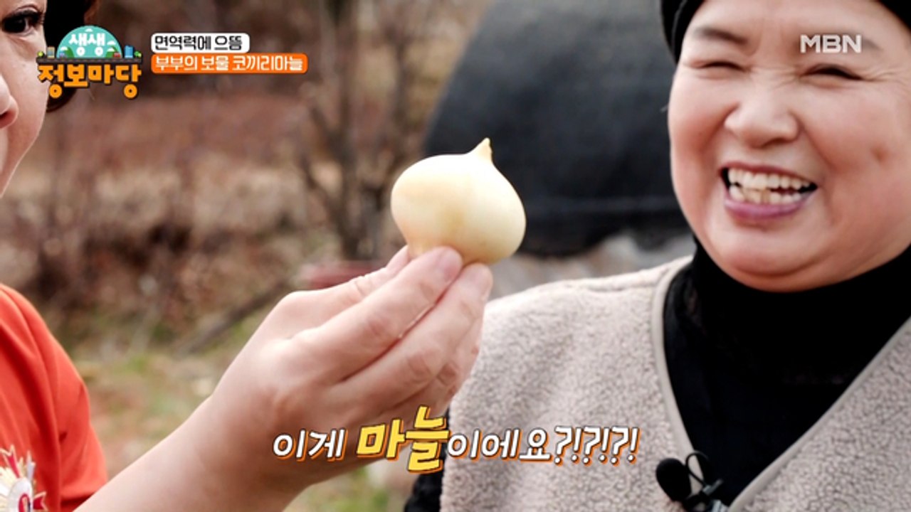 밭에서 코끼리를 캐는 부부?? 맛도 영양도 두 배인 이것의 정체는?