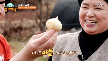 밭에서 코끼리를 캐는 부부?? 맛도 영양도 두 배인 이것의 정체는?