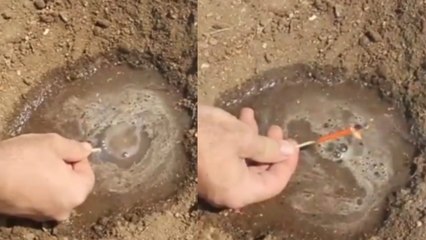 Rien ne peut éteindre ces allumettes révolutionnaires