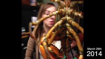 Il pourchasse sa femme avec un homard depuis 9 ans