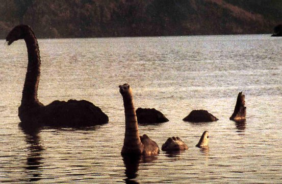 Loch Ness Monster hunters claim to have spotted the creature