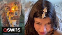 US student creates mini apartments for her pet praying mantises with TINY FAKE BONGS and SMALL PAINTINGS