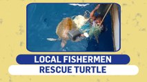 Honnavar fishermen save olive ridley turtle, win hearts