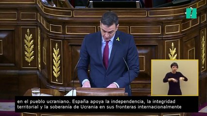 Sánchez, en el Congreso: "Quiero hacer un llamamiento a Putin desde aquí"