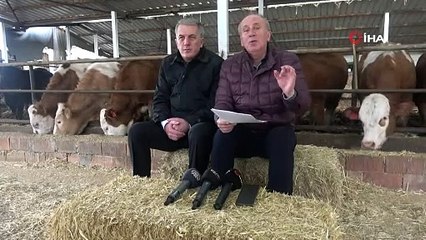 Muharrem İnce’den ahırda basın toplantısı: Büyükbaş hayvanları arkasına aldı saman balyalarını koltuk yaptı