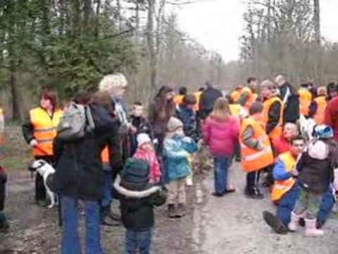 Promenade bois du 9-03-08 film 2