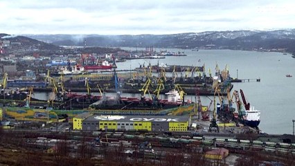 Евросоюз отказывается от российского угля, а некоторые члены ЕС - и от газа