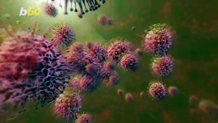 Springtime Could Mean Allergy Fears For Many! Here’s Out to Find Relief