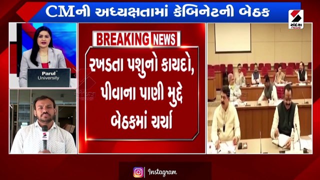 ગાંધીનગરમાં મુખ્યમંત્રીની અધ્યક્ષતામાં કેબિનેટની બેઠક, અનેક મુદ્દે થઈ ચર્ચા