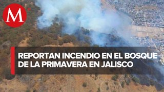 Incendio en bosque “La Primavera” en Jalisco; siguen labores de combate