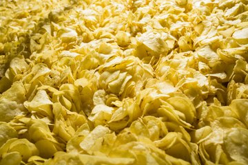 Découvrez la plus grande usine Lay's d'Europe