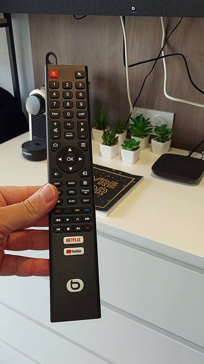 comment fonctionne la télévision de Madeleine Swamm