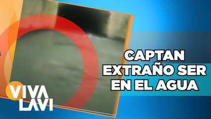 Extraño ser captado bajo el agua | Vivalavi
