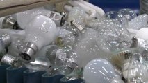 Recycler ses ampoules, un vrai casse-tête