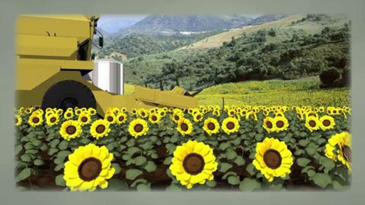 Le gaspillage alimentaire