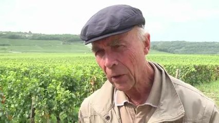 Vin: l'héritier du Romanée-Conti, un héraut discret