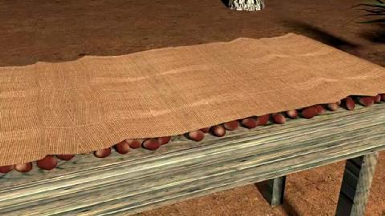 Le chocolat