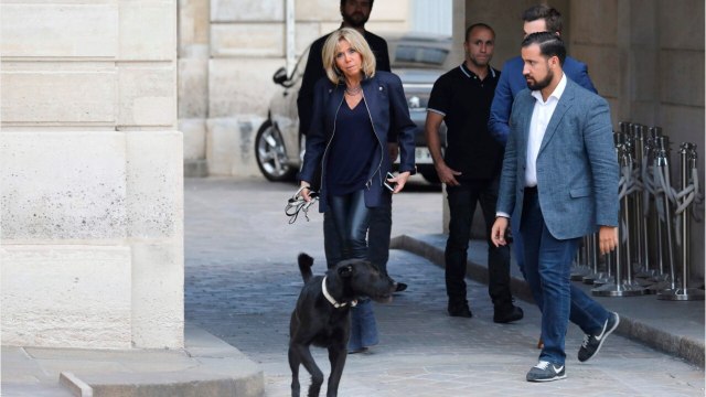 GALA VIDEO - Quand Nemo, le chien des Macron, fait paniquer Sibeth Ndiaye en plein conseil des ministres