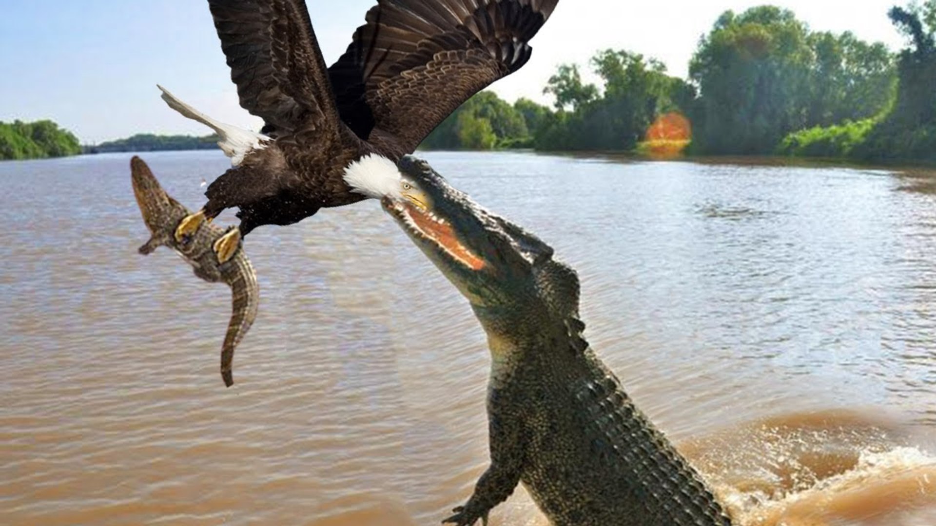 ⁣crocodiles ruthlessly attack any being comes to the water!