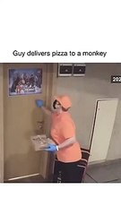 Repartidora fue a entregar una pizza y se la recibió un chimpancé. Era tan educado que le pagó