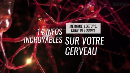 NEON • Mémoire, lecture, coup de foudre : 14 infos incroyables sur votre cerveau