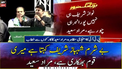Shameless Shehbaz Sharif says my nation is a beggar: Murad Saeed