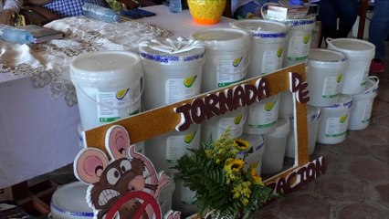 Ministerio de Salud desratizará 3 mil 718 locales recreacionales en León