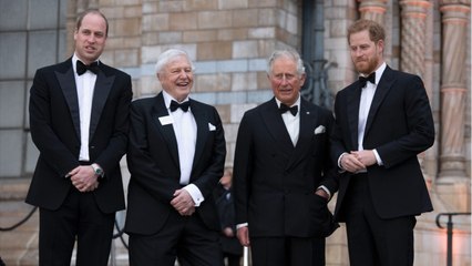 GALA VIDÉO - William soucieux après son entrevue tendue avec Harry