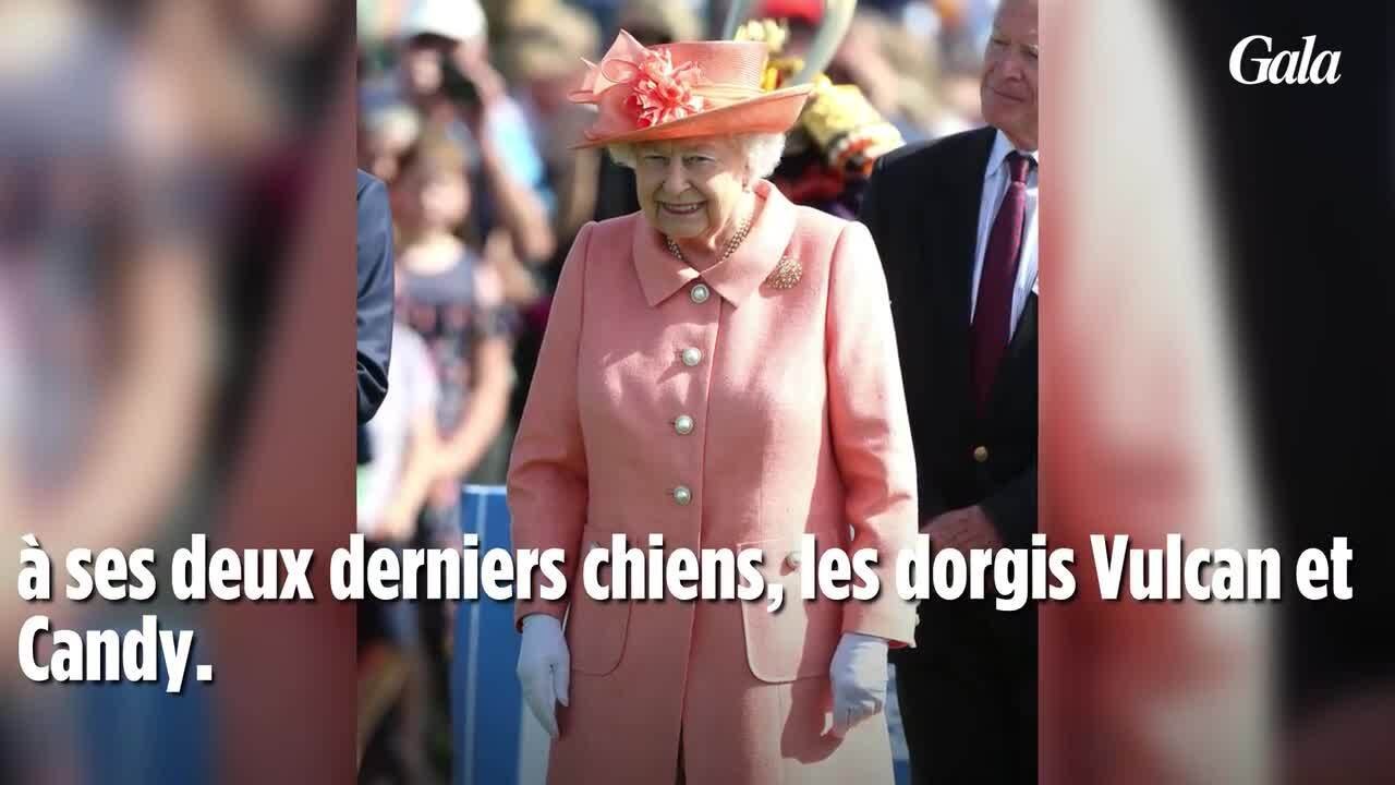 GALA VIDEO - Elizabeth II en route pour Windsor : ces invités remarqués à ses côtés