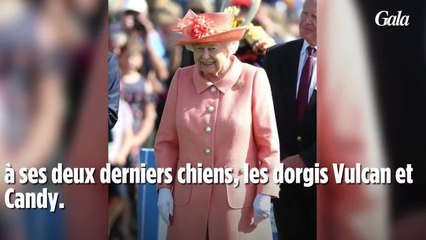 GALA VIDEO - Elizabeth II en route pour Windsor : ces invités remarqués à ses côtés