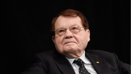GALA VIDEO - Le professeur Luc Montagnier critiqué : sa théorie sur le coronavirus fait polémique