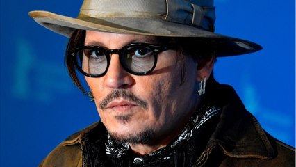 GALA VIDEO - Johnny Depp exclu de Pirates des Caraïbes ? Les fans crient au scandale