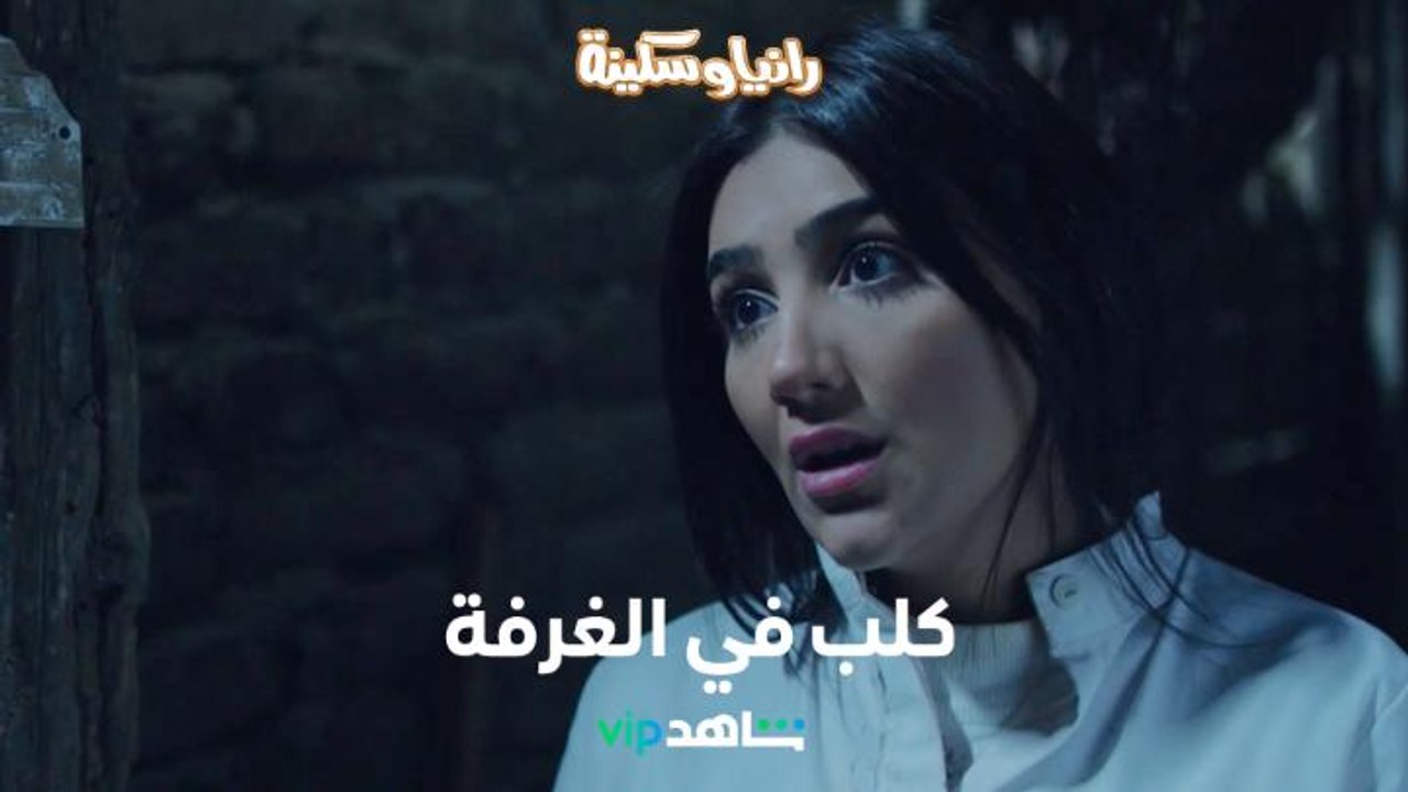 كلب يقتحم غرفة رانيا وسكينة واللمبة محروقة      |        رانيا وسكينة       |      شاهد VIP