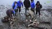 Avec les chasseurs de mammouths en Sibérie [GEO]