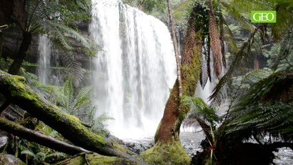 Tasmanie : l'île émeraude [GEO Making-of]
