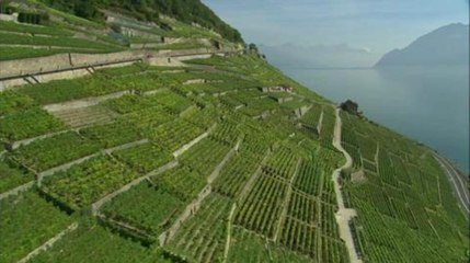 M378P7-movie-angels-flight