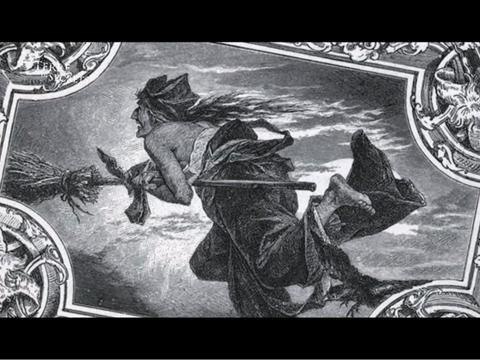 La digitale pourpre, vénéneuse et bienfaitrice