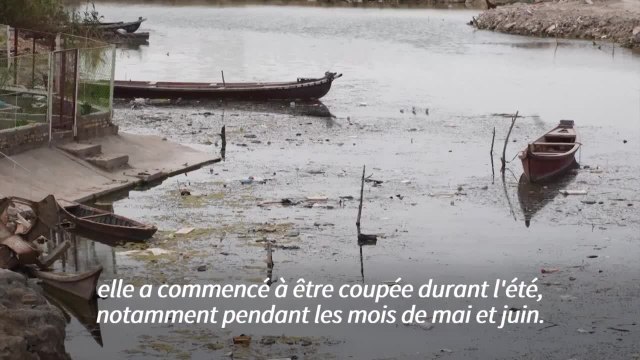 Dans les marais de Mésopotamie coulent... les égouts d'Irak