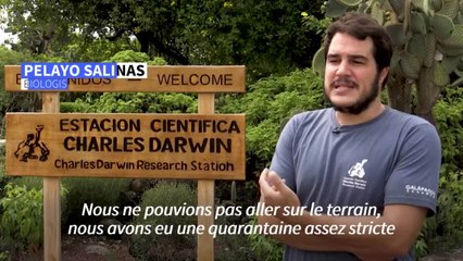 Les Galapagos à l'abri du Covid, mais tourisme et science à l'arrêt