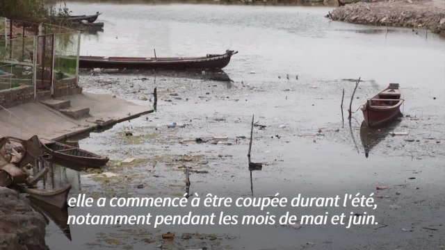 Dans les marais de Mésopotamie coulent... les égouts d'Irak