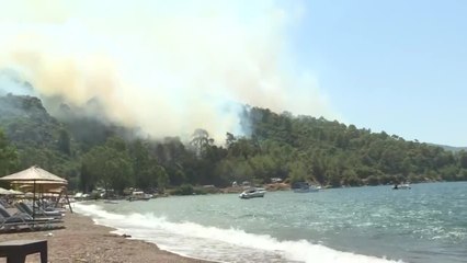 Incendies: 300 personnes évacuées près d'Athènes, une centrale menacée en Turquie